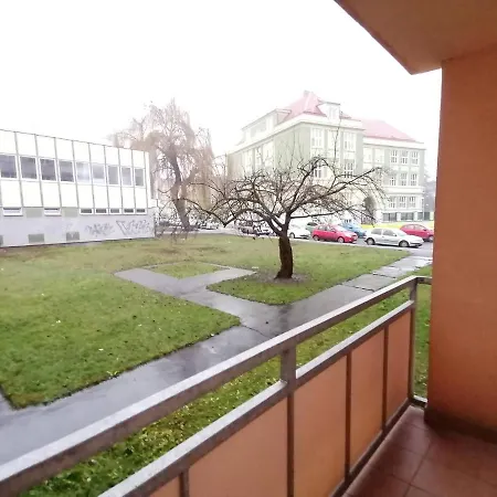 Family Apartment, Teplice, Area *