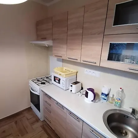 Family Apartment, Teplice, Area アパート *
