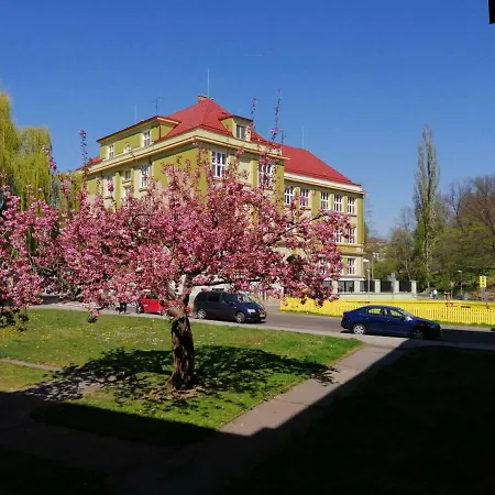 Apartmán Family Apartment, Teplice, Area